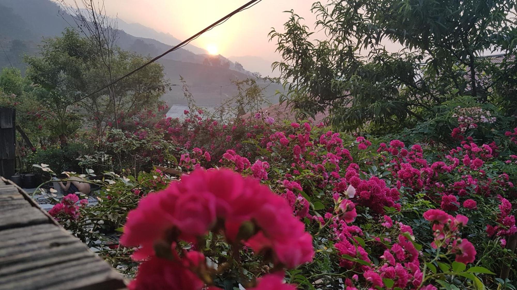 Tavan View Homestay Sapa Exterior foto